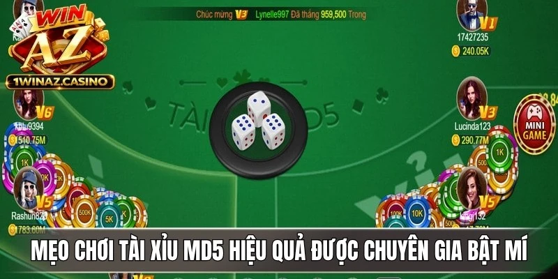 Mẹo chơi Tài xỉu MD5 hiệu quả được chuyên gia bật mí